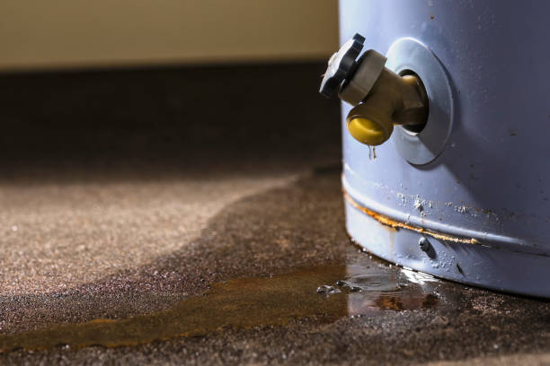 Best Mold removal after water damage  in Chesterfield, MO