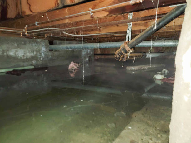 Best 24-hour water damage restoration  in Chesterfield, MO