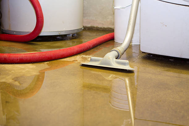 Best Water damage restoration near me  in Chesterfield, MO