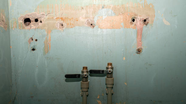 Best Ceiling water damage repair  in Chesterfield, MO