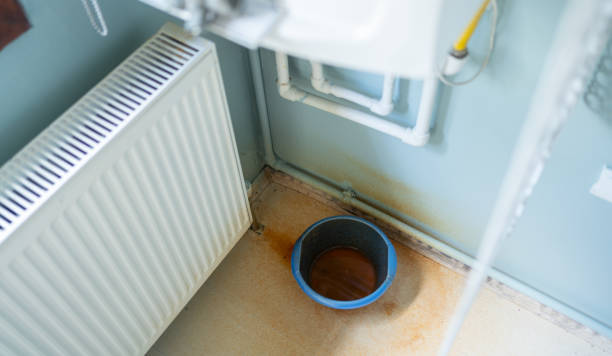 Best Water damage cleanup near me  in Chesterfield, MO